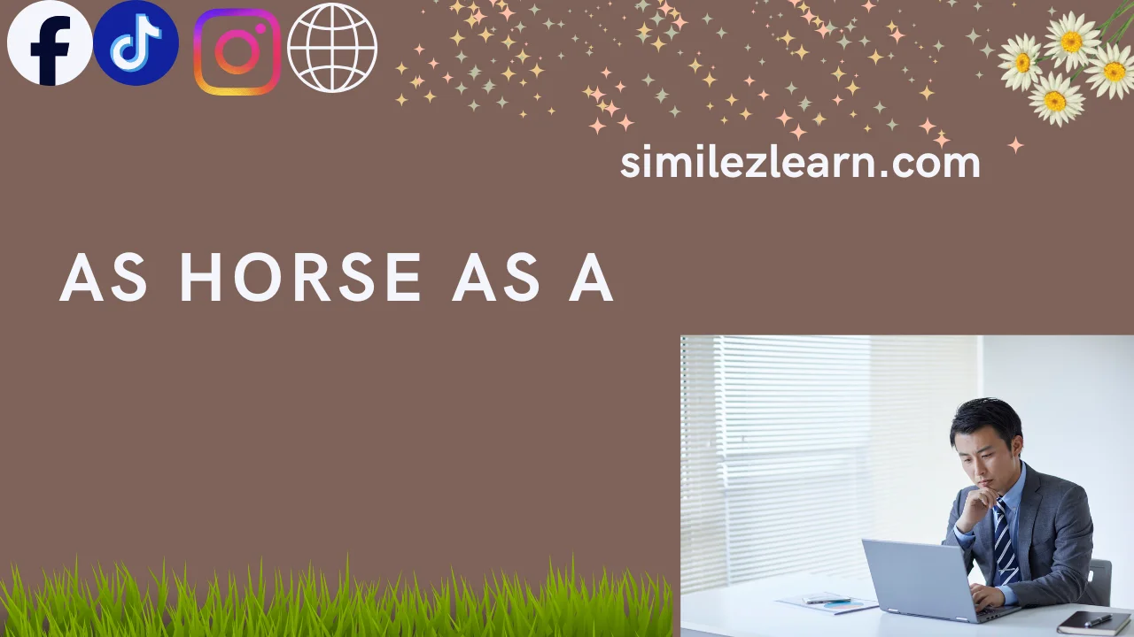 as horse as a