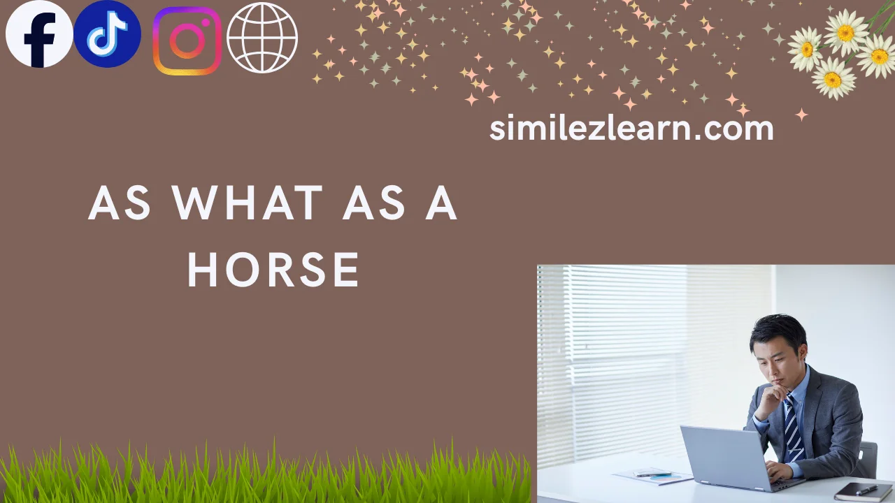 as what as a horse