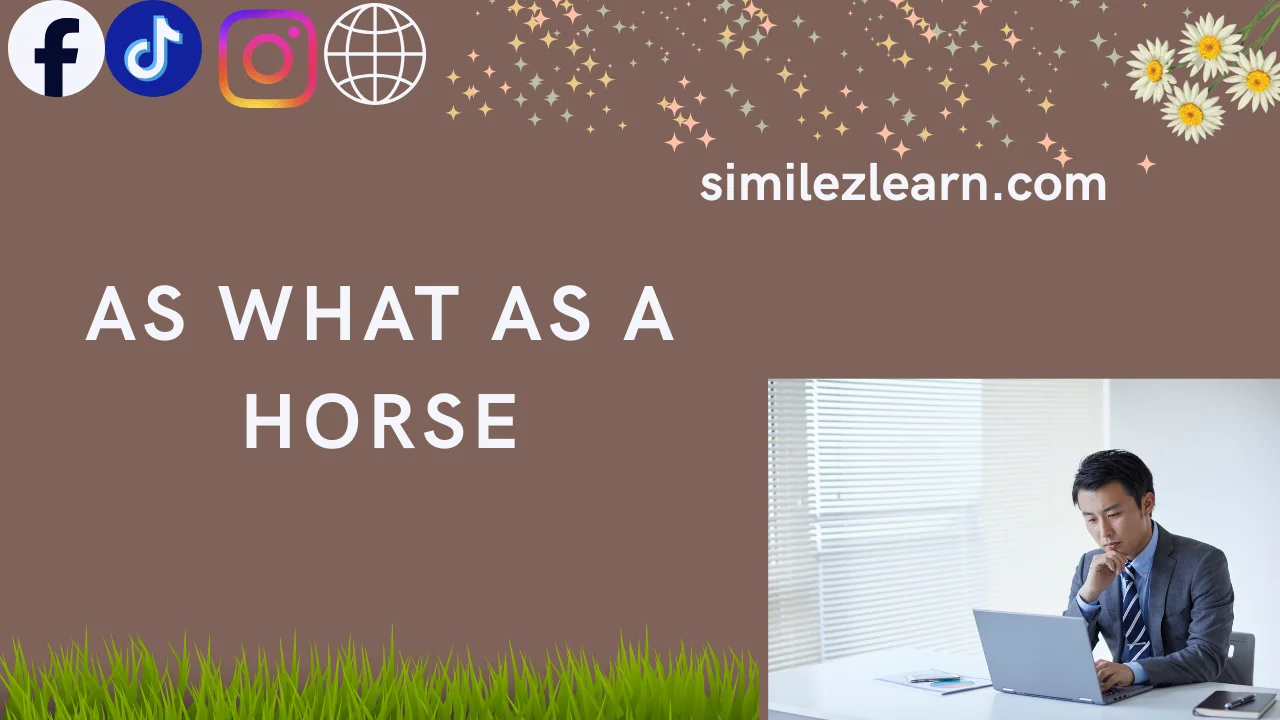 as what as a horse