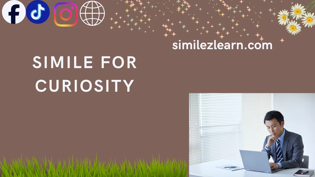 simile for curiosity