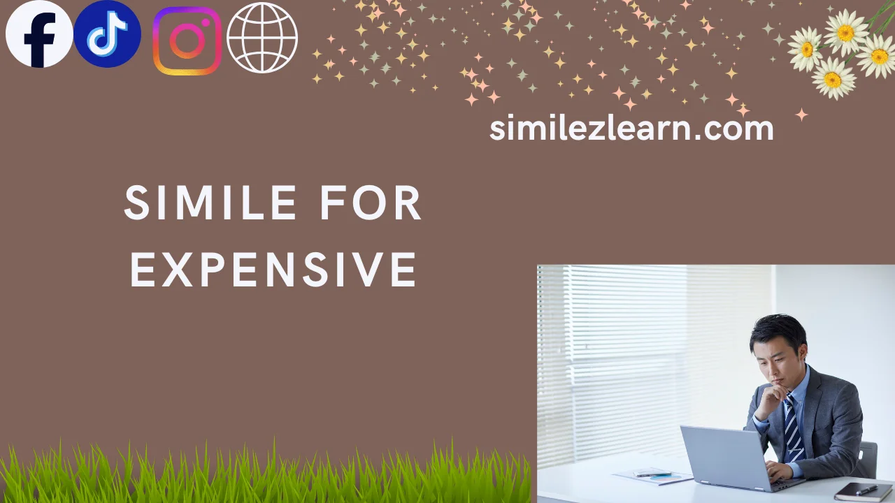 simile for expensive