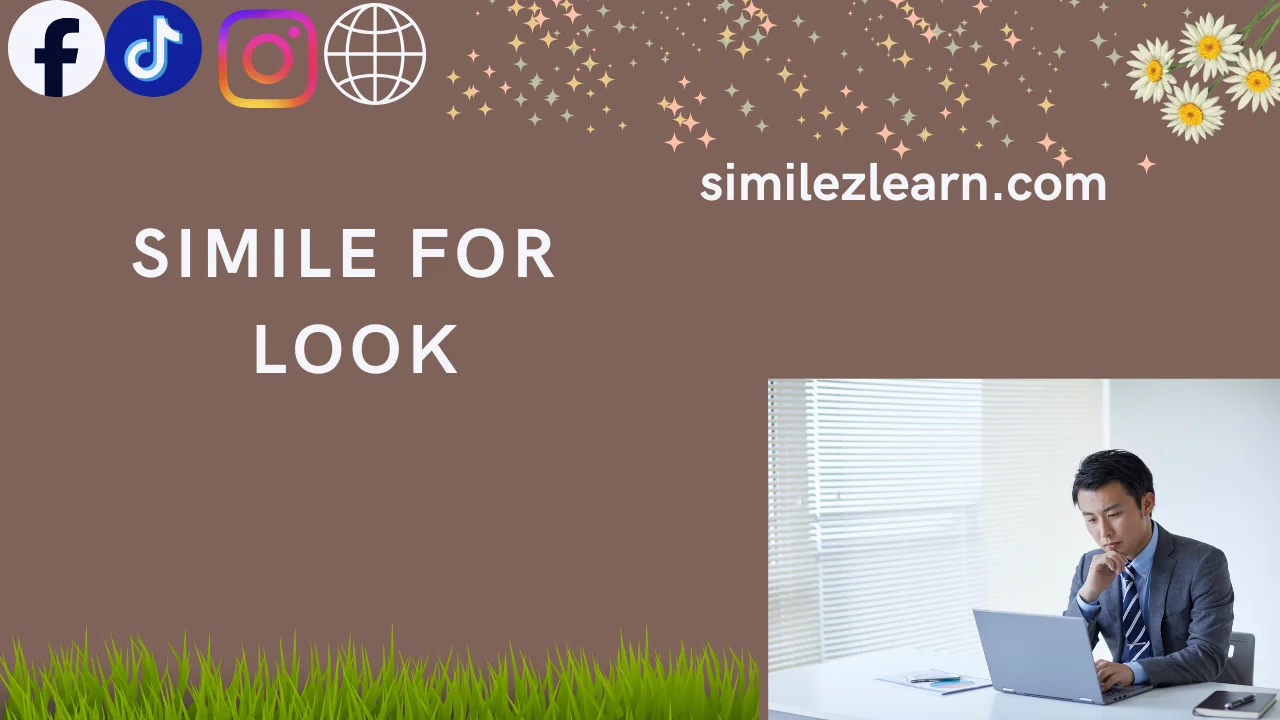 simile for look