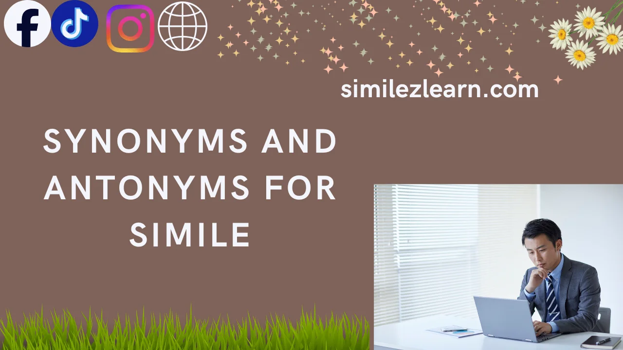 synonyms and antonyms for simile