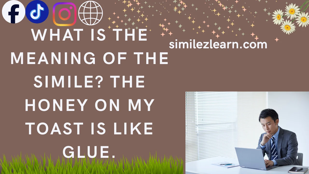 what is the meaning of the simile? the honey on my toast is like glue.