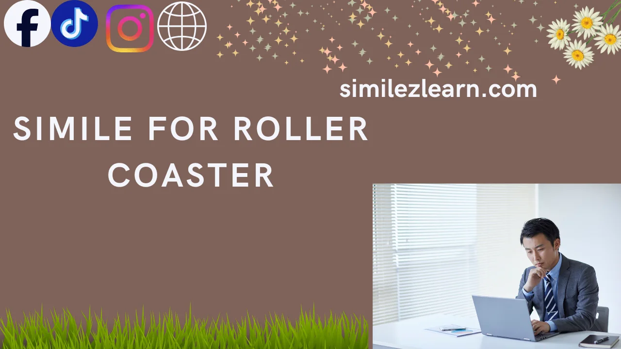 simile for roller coaster